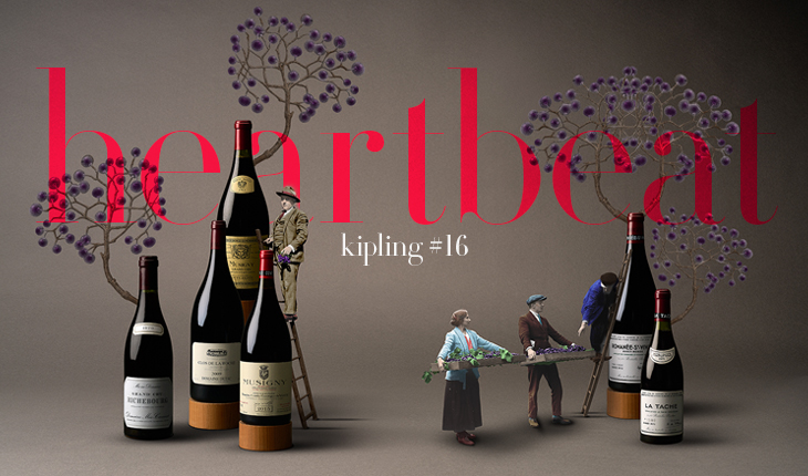 baghera/wines VENTE DE CHARITÉ - DIRECT DOMAINE UNIQUEMENT.... Bruno Clair, Domaine Thibault Liger-Belair, Salon, Domaine Belargus, Domaine Leflaive, Château de Pibarnon, Domaine François Gaunoux, Zind-Humbrecht, Alvaro Palacios, Jayer, DRC, Poderi Oddero 10 mai 2026 genève