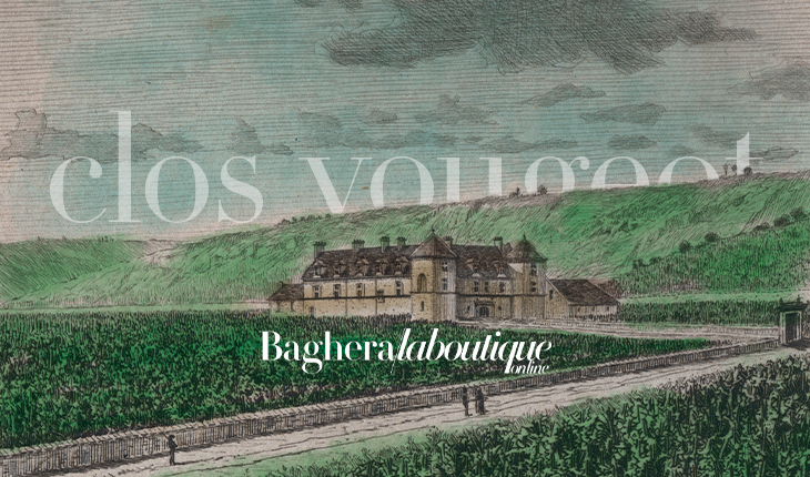 1-Accueil-Slider-principal-730x430-eboutique-closvougeot
