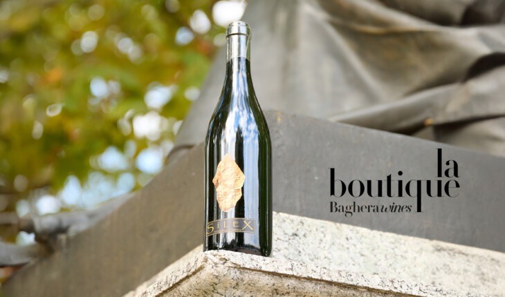 2025-11-07-SLIDER-sitecorpo-boutique-Silex