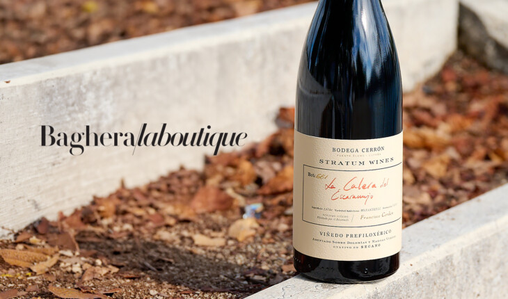 2026-03-06-sitecorpo-boutique