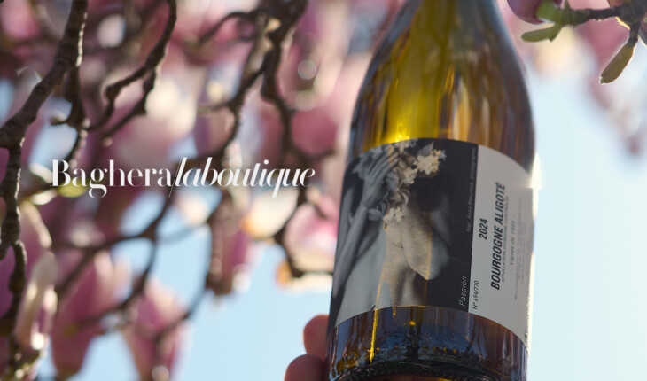 2026-04-24-sitecorpo-boutique