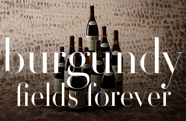 Bagherawines "Burgundy fields forever" June 20, 2021