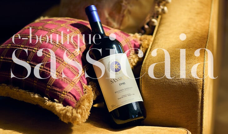 buy your wines online with bagherawines' online boutique specialized in fine wines