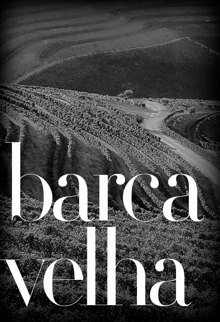 Barca Velha event by Baghera/wines 2022