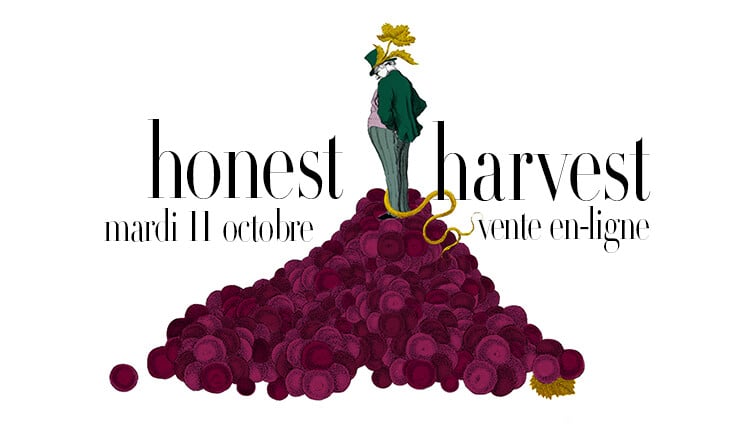 vente en-ligne par Baghera/wines